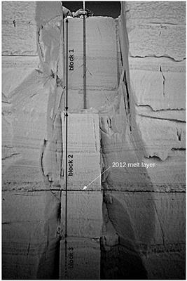On the Birth of Structural and Crystallographic Fabric Signals in Polar Snow: A Case Study From the EastGRIP Snowpack